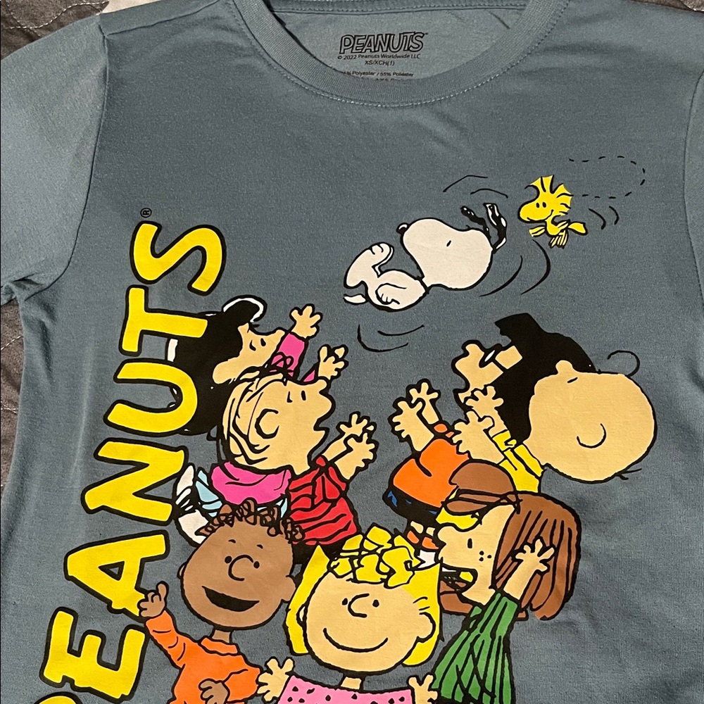 Peanuts Gray Graphic Tee with Colorful Characters